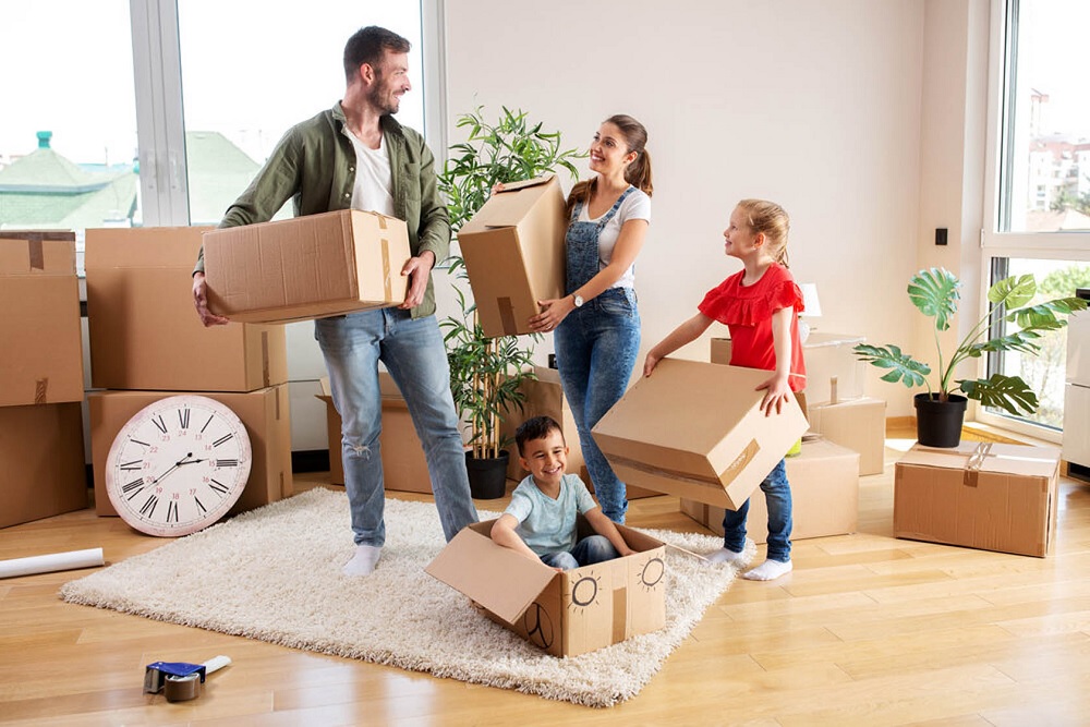 5 Additional Services Removalists Can Offer